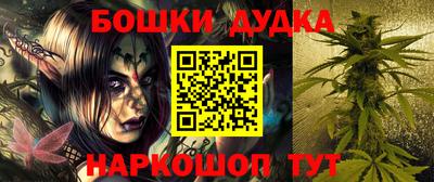 индика Будённовск