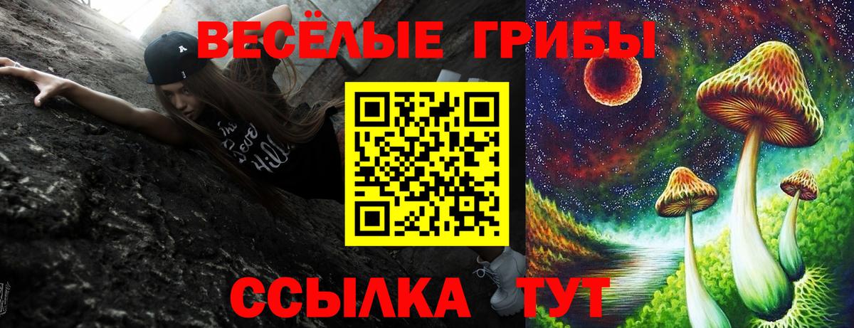 Подольск  Псилоцибиновые грибы Psilocybe  Галлюциногенные грибы мицелий  Вход с VPN 